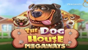 the dog house